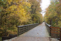 Fall-2017-@-Calloway-Creek-Bridge-